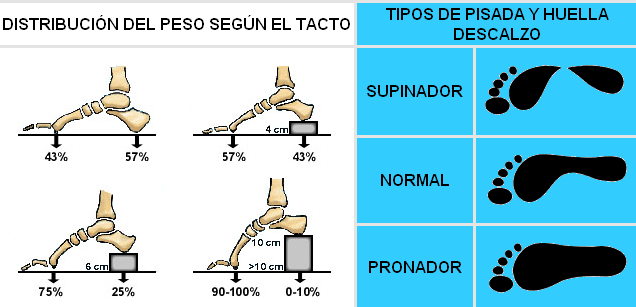 ORTOPODOLOGIA (CONSULTA)